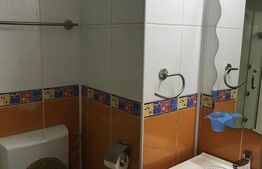 Apartament de 4 camere, 100mp, zona Garii