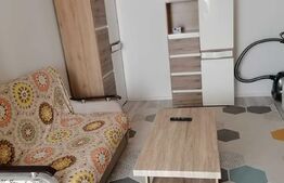 Apartament cu 1 camera, 41 mp, decomandat, Miroslava