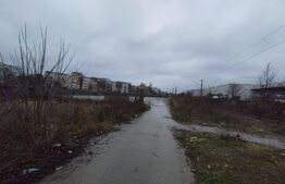 Teren intravilan, 19.500 mp, proiect atractiv, Nicolina