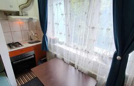 Garsoniera 16 mp, Pacurari