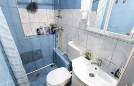 Garsoniera 16 mp, Pacurari