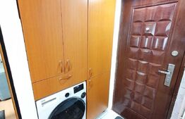 Garsoniera 16 mp, Pacurari