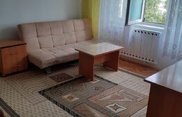 Apartament cu o camera, 42 mp, etaj intermediar, Pacurari