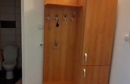 Apartament cu o camera, 42 mp, etaj intermediar, Pacurari