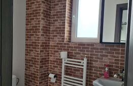 Vila 3 camere, 120 mp, Exterior Vest