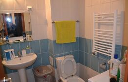 Garsoniera, 38 mp, Canta