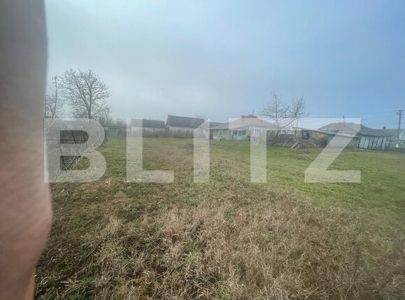 Casa de vânzare 4 camere Exterior Est - 105658CV | BLITZ Iași | Poza8