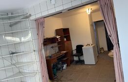 Apartament de 1 camera,  24 mp, parter, zona Bularga