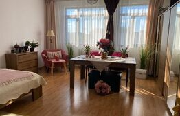 Apartament de 1 camera, 35 mp, mobilat, zona Bularga