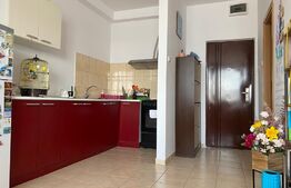 Apartament de 1 camera, 35 mp, mobilat, zona Bularga