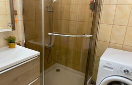 Apartament de 1 camera, 35 mp, mobilat, zona Bularga