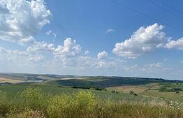 Teren extravilan, 1362 mp, Rediu