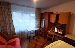 Garsoniera, 17 mp, parter, Bularga