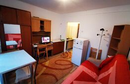 Garsoniera, 17 mp, parter, Bularga