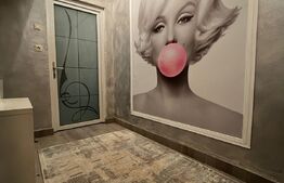 Apartament de 1 camera, decomandat, 30 mp, Alexandru cel Bun