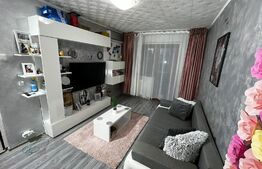 Apartament de 1 camera, decomandat, 30 mp, Alexandru cel Bun