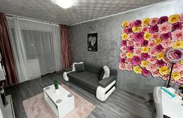 Apartament de 1 camera, decomandat, 30 mp, Alexandru cel Bun