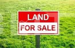 Comision 0, teren de 8200 mp extravilan, 2500 mp iaz, hala, Poieni