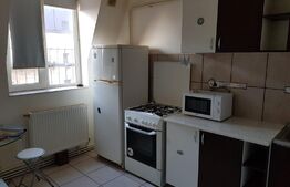 Studio, 30mp, mobilat, Palas