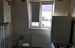 Studio, 30mp, mobilat, Palas