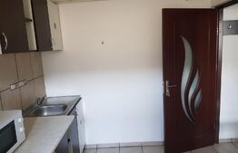 Studio, 30mp, mobilat, Palas