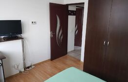 Studio, 30mp, mobilat, Palas