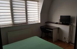 Studio, 30mp, mobilat, Palas