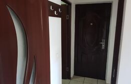 Studio, 30mp, mobilat, Palas