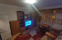 Garsoniera, 21 mp, zona Bularga