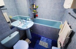 Apartament de 3 camere, 65mp, Tomesti