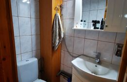 Apartament de 3 camere, 65mp, Tomesti
