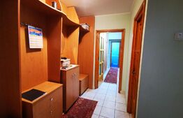 Apartament de 3 camere, 65mp, Tomesti
