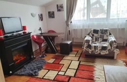 Pensiune de 10 camere, 330 mp utili,620 mp de teren, Moara de Vant