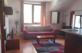 Pensiune de 10 camere, 330 mp utili,620 mp de teren, Moara de Vant