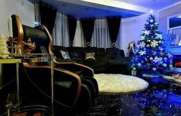 Casa 4 camere, 321 mp, Central