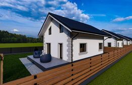 Casa individuala 100 mp,  420 mp teren, Valea Ursului