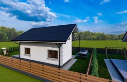 Casa individuala 100 mp,  420 mp teren, Valea Ursului