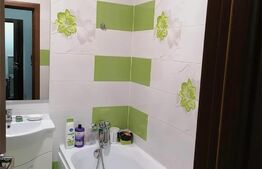 Garsoniera , 44 mp, Bucium