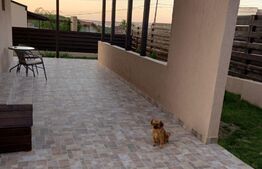 2 Case cu 4 camere, 105 mp, Podu Ros 