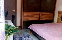 2 Case cu 4 camere, 105 mp, Podu Ros 