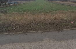 Teren intravilan 8300 mp, Belcesti