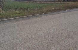 Teren intravilan 8300 mp, Belcesti