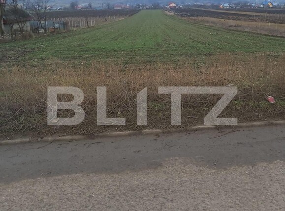 Teren de vânzare Nord-Vest - 106313TV | BLITZ Iași | Poza1
