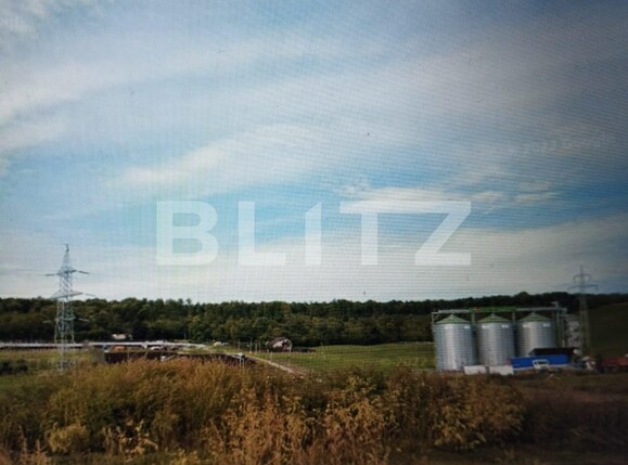 Teren de vânzare Dumbrava-Ciurea - 106323TV | BLITZ Iași | Poza2