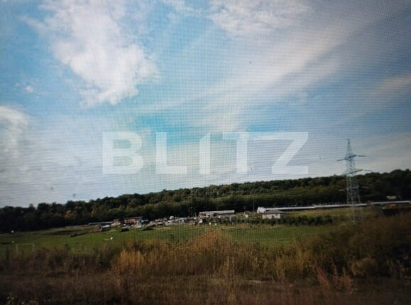 Teren de vânzare Dumbrava-Ciurea - 106323TV | BLITZ Iași | Poza1