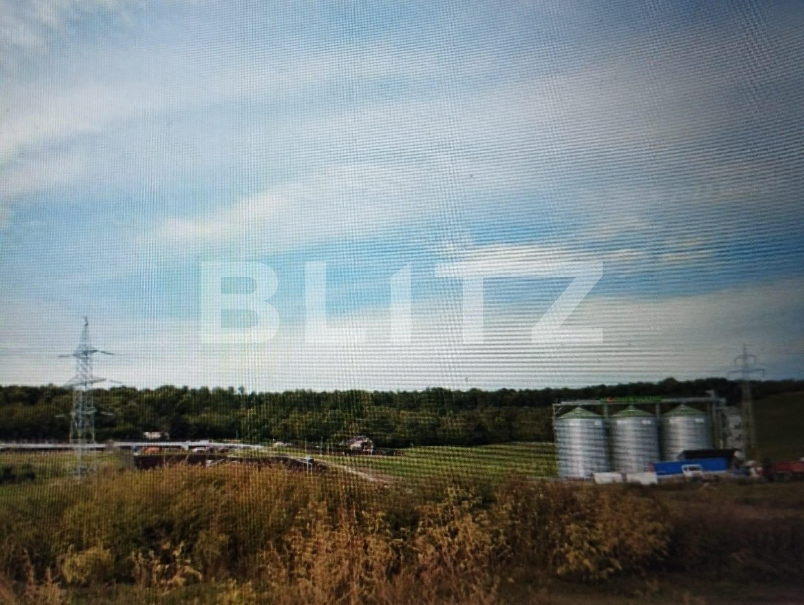 Teren de vânzare Dumbrava-Ciurea - 106323TV | BLITZ Iași | Poza2