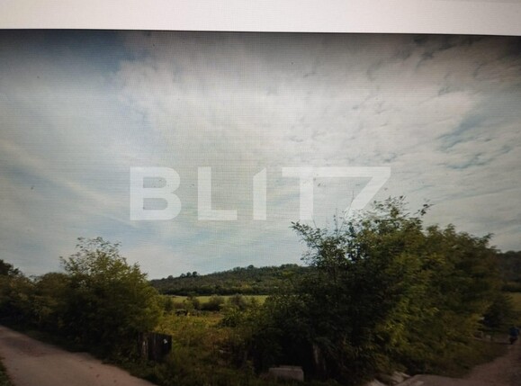 Teren de vânzare Dumbrava-Ciurea - 106324TV | BLITZ Iași | Poza1