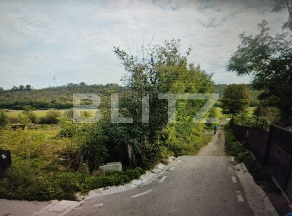 Teren de vânzare Dumbrava-Ciurea - 106325TV | BLITZ Iași | Poza1