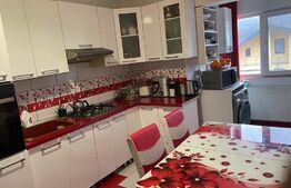 Cladire cu 3 apartamente in Bucium la 100 m de Family Market