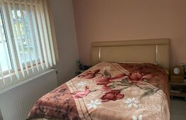 Cladire cu 3 apartamente in Bucium la 100 m de Family Market